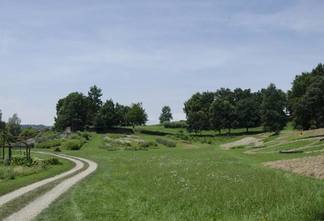 cascina molino torrine continua ricerca erbe aromatiche 1