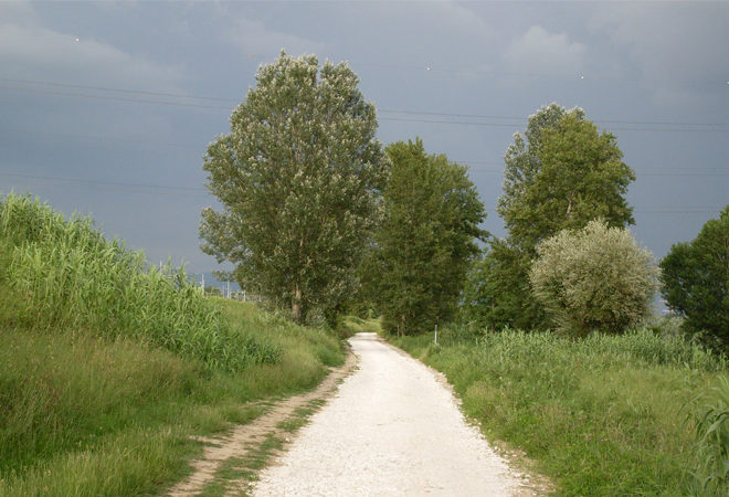 ciclopista arno archiano