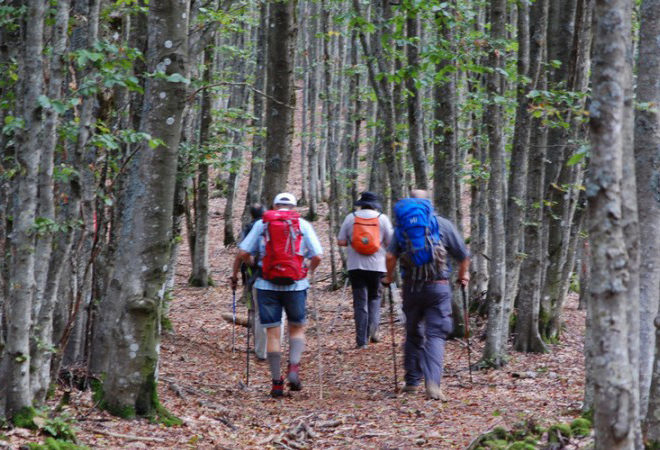 compagnia dei cammini in casentino