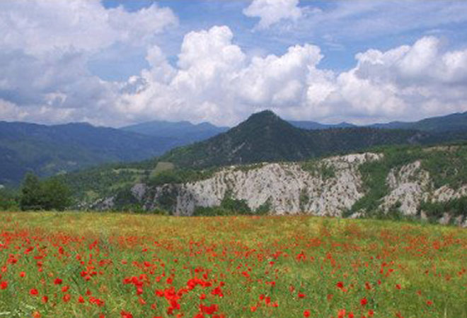 ecomuseo icom buona pratica nazionale