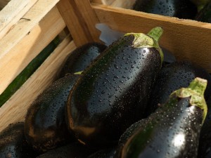 eggplant 1707629 960 7201 300x225 1