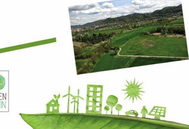 green grain heritage desing