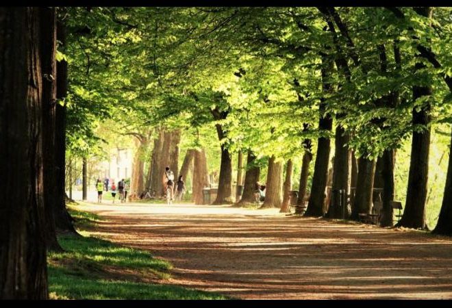 il tuo parco rigenerazione partecipazione lungo il po torino 1