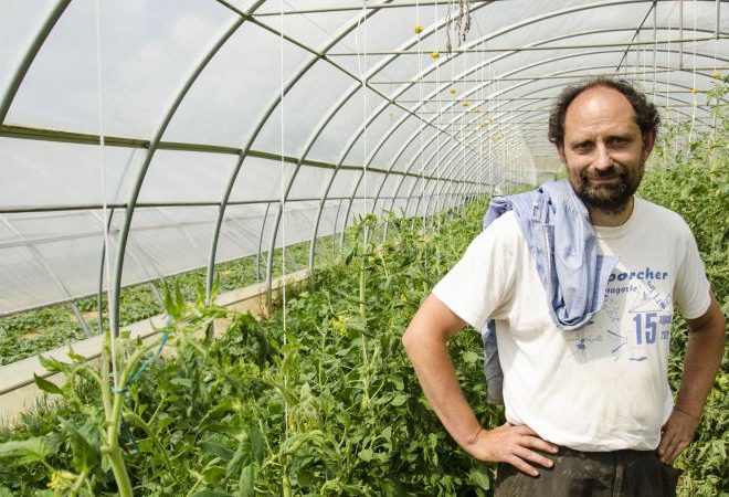 lavoravo in banca poi ho seguito sogno aprire azienda agricola stefano 1