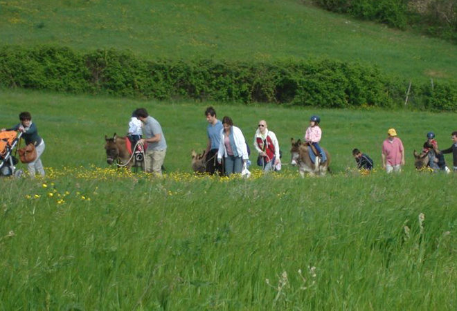 movimento musica buonumore al festival culture casentino