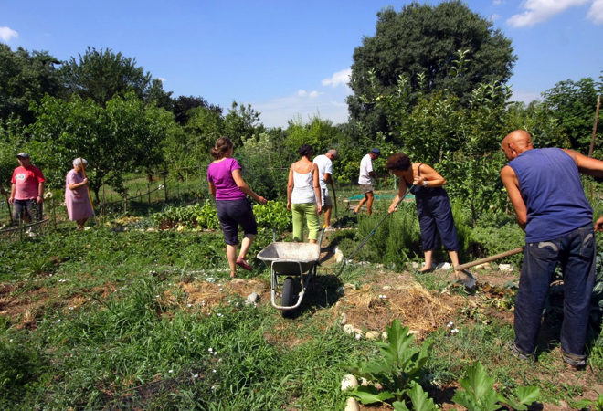 orto in paese
