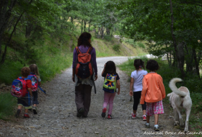 presentazione asilo nel bosco casentino