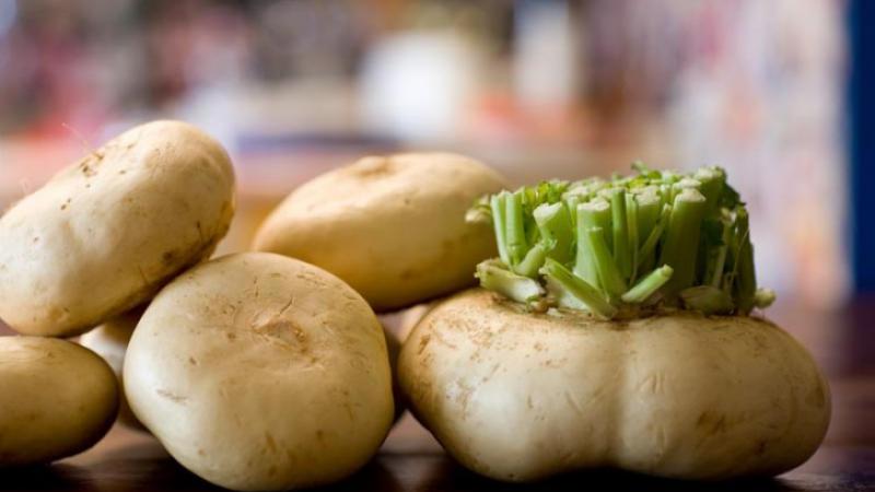 rapa caprauna slow food