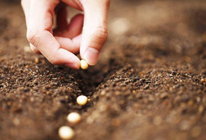 ricerca conservazione antiche cultivar parco nazionale
