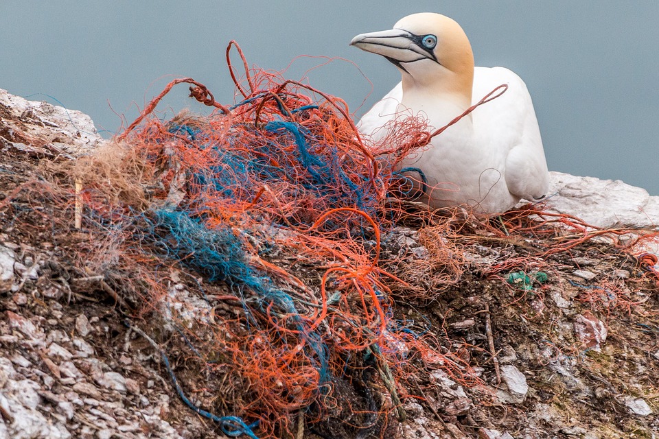 Plastica: “Dalle multinazionali solo false soluzioni”