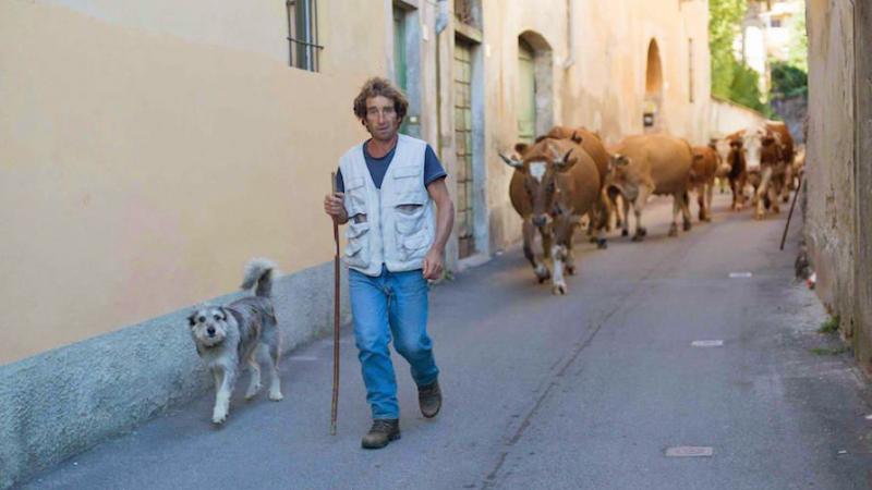 Torna il festival del cinema Rurale, alla scoperta del mondo contadino