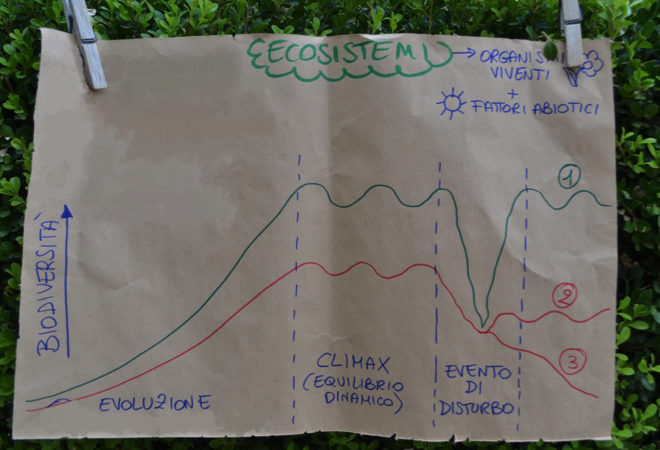 un asilo ispirato alla natura