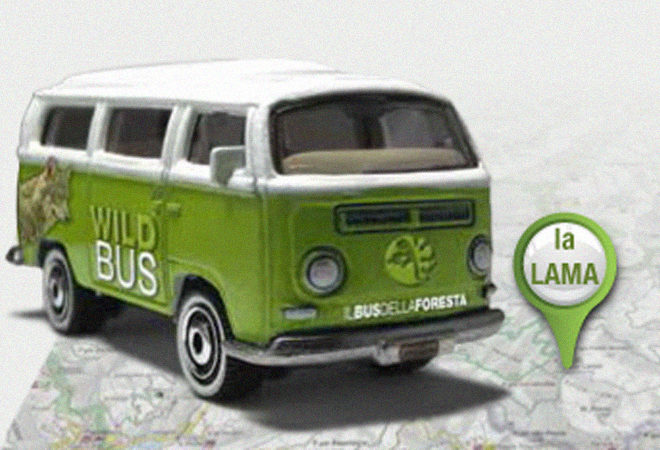 wild bus foresta