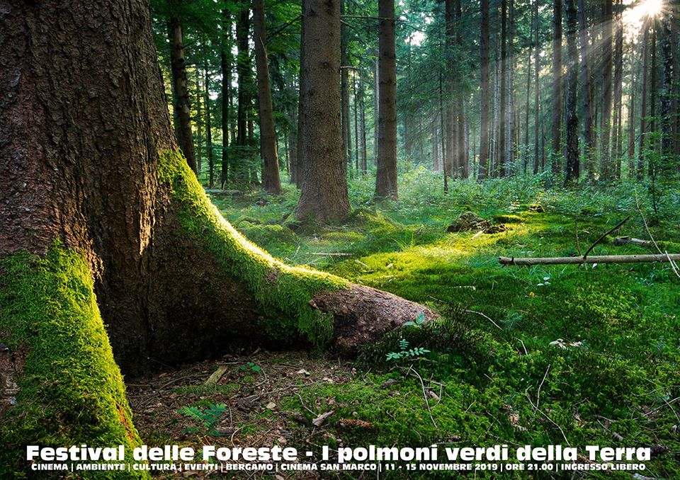 festival delle foreste