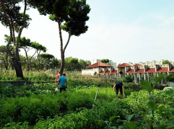 orto sociale ponticelli