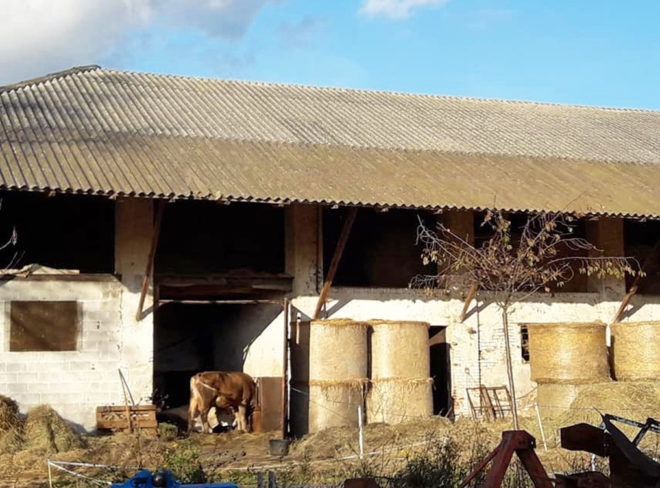 Cascina Angiolina1 1
