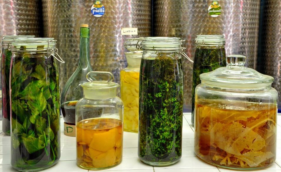 detergenti ecologici erbe brillor