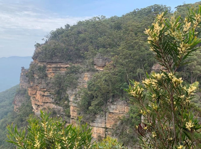 blue mountains australia 1