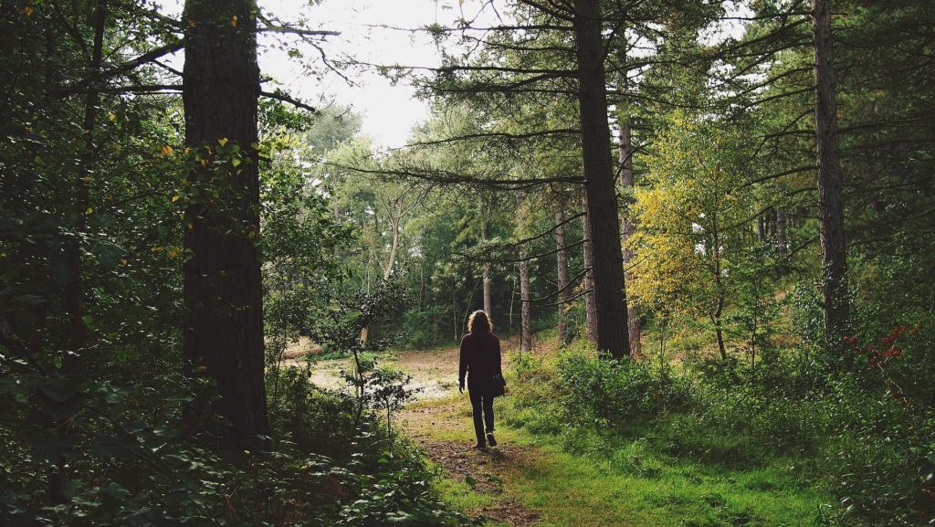 camminare natura