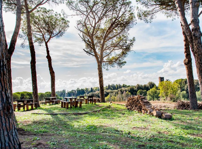 cooperativa coraggio roma 1