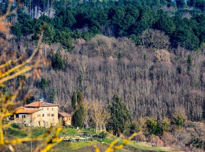 fattoria poggio di dante 1