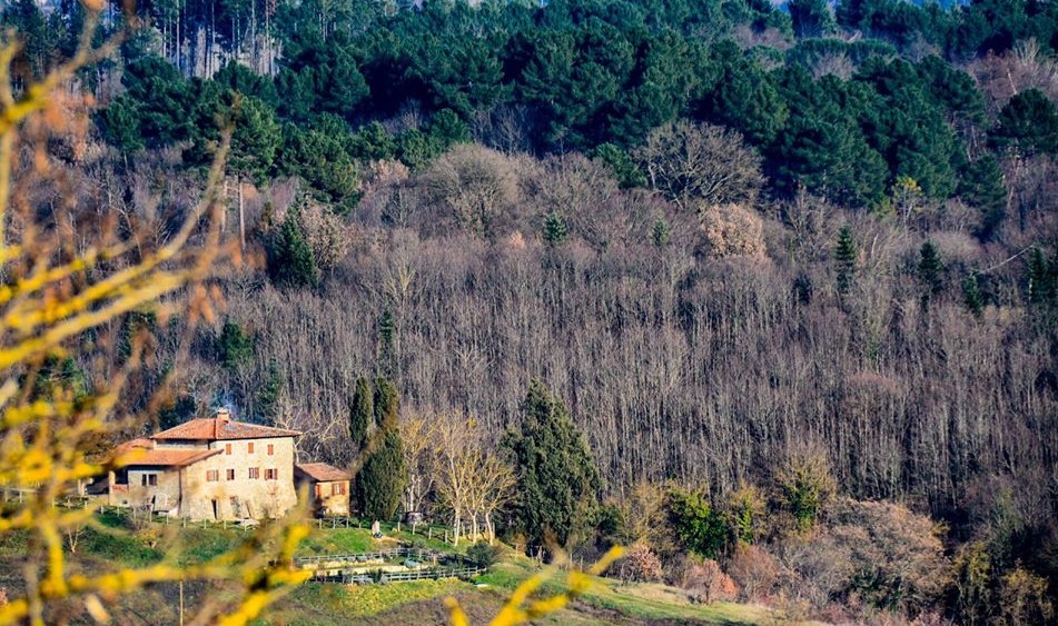 fattoria poggio di dante