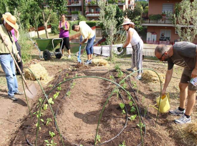 foto gardeniser