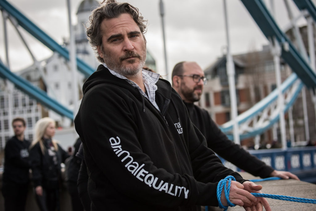 joaquin phoenix animal equality