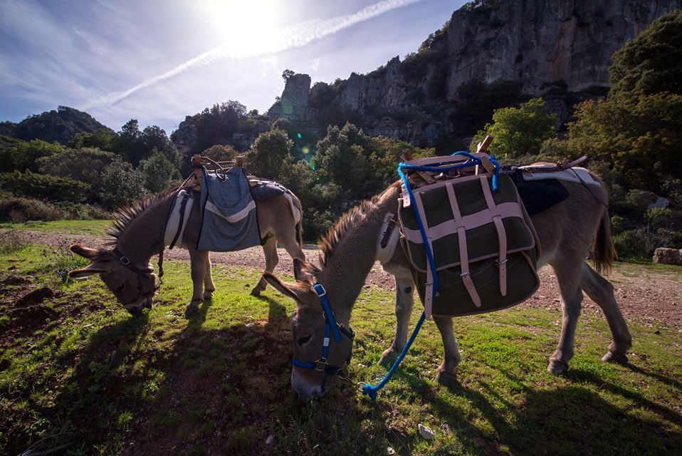 sardaigne en libertè