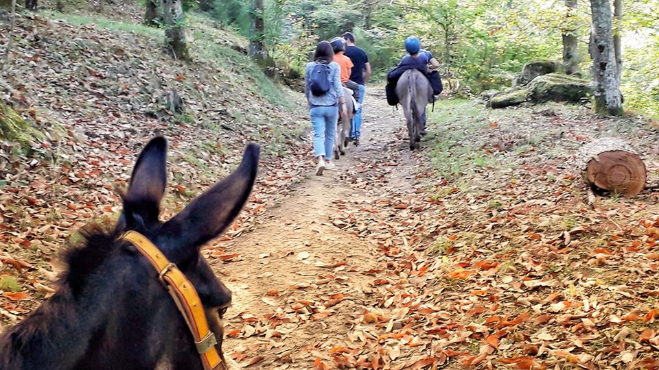 trekking asini 3