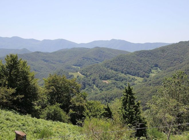 Parco nazionale delle Foreste Casentinesi