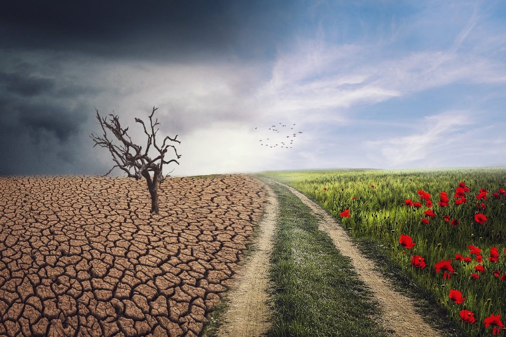 landscape 4684217 1280