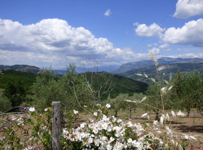 P1060869 1