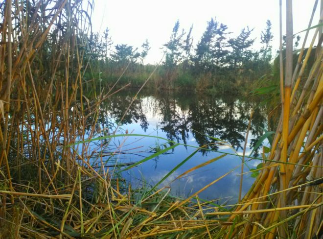 foto fiume 2 1