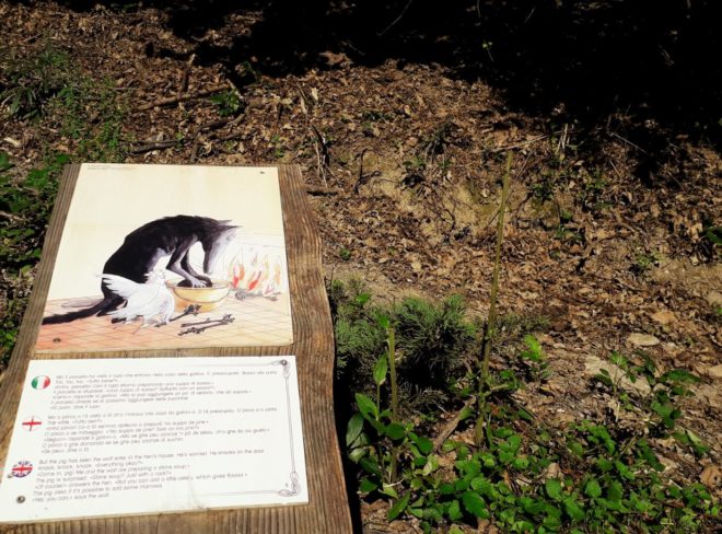 WhatsApp Image 2020 07 23 at 01.07.47