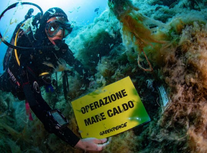 greenpeace