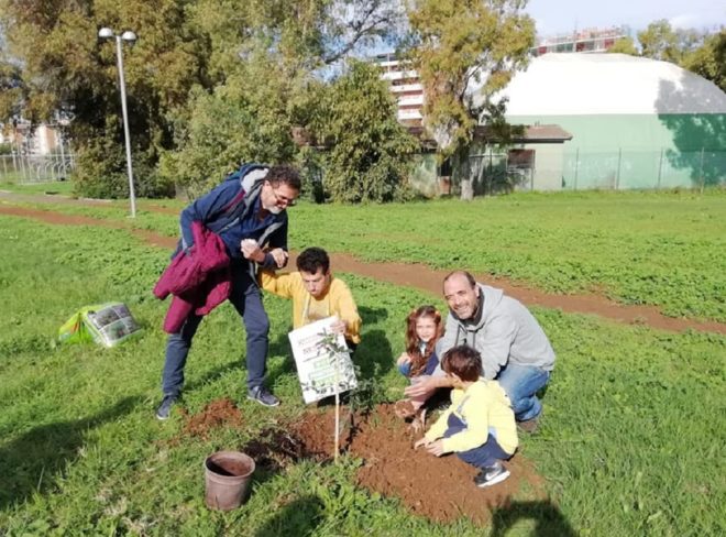 piantiamo alberi 1