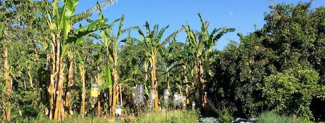 Giardino delle Bio 2