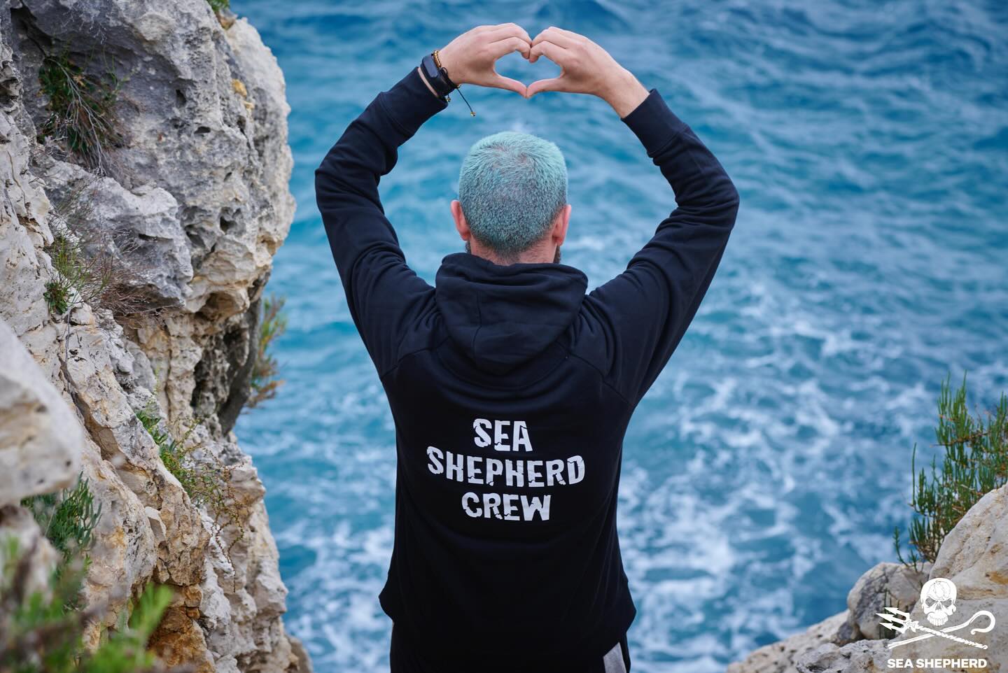 Sea Shepherd 1