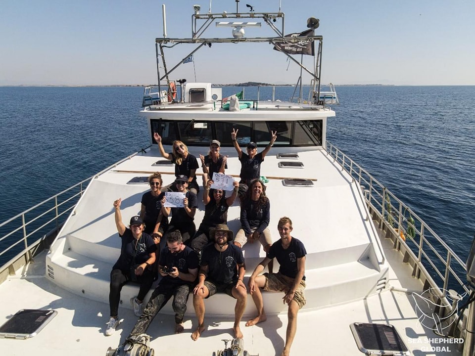 Sea Shepherd 5