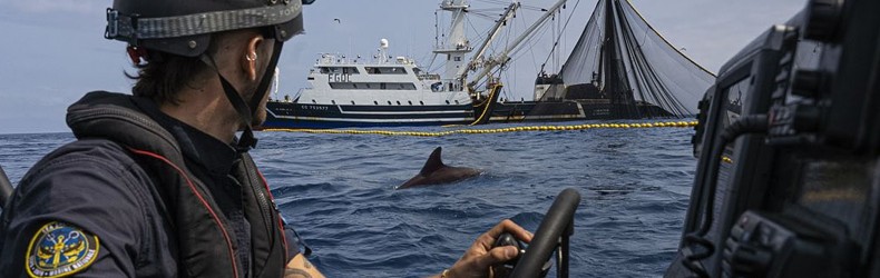 Sea Shepherd copertina