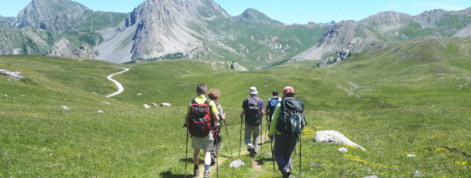 Walden Viaggi a piedi copertina