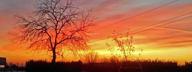alba orti viventi