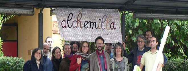 alchemilla gas