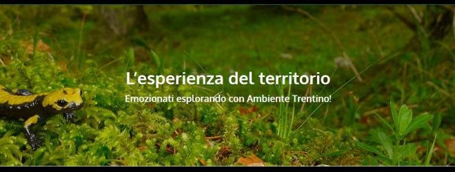 ambiente trentino 1