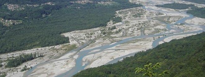assieme tagliamento