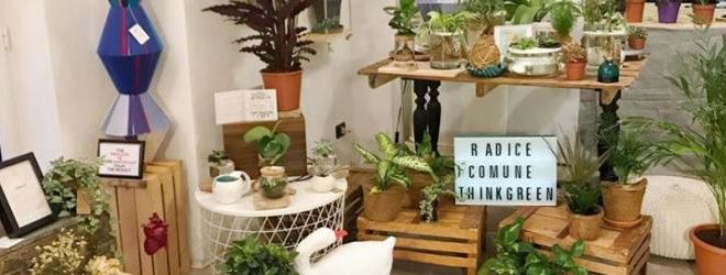 associazione radice comune