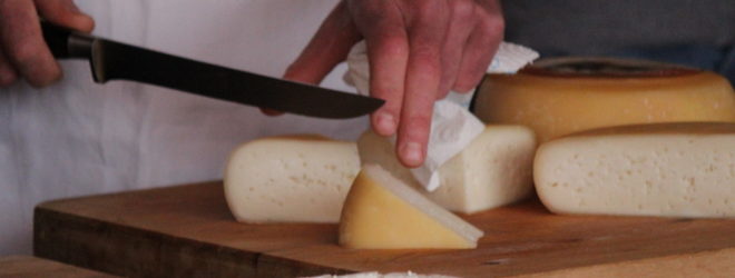 azienda casa pallino