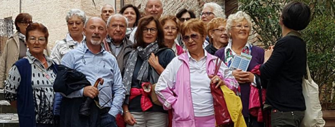 bdt senigallia