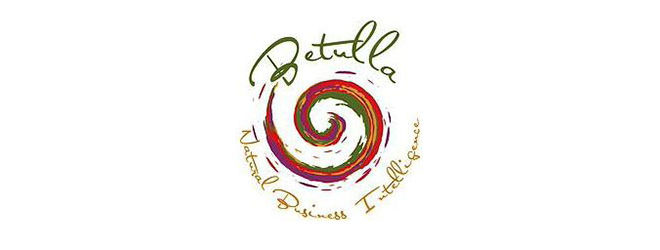 betulla natural business intelligence